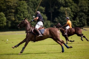 Argentine Polo Open